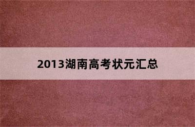 2013湖南高考状元汇总