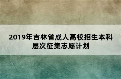 2019年吉林省成人高校招生本科层次征集志愿计划