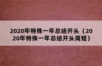 2020年特殊一年总结开头（2020年特殊一年总结开头简短）