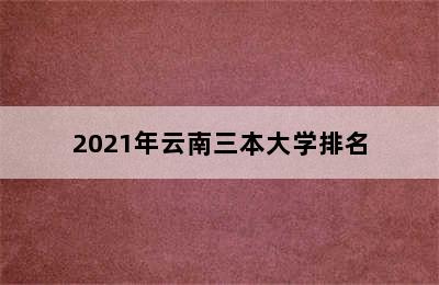 2021年云南三本大学排名