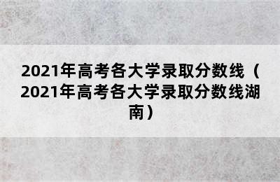 2021年高考各大学录取分数线（2021年高考各大学录取分数线湖南）