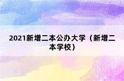 2021新增二本公办大学（新增二本学校）