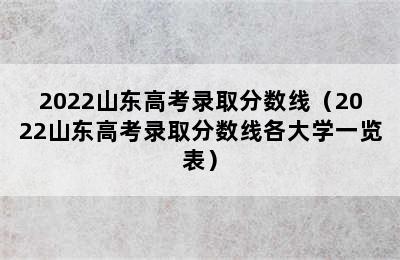 2022山东高考录取分数线（2022山东高考录取分数线各大学一览表）