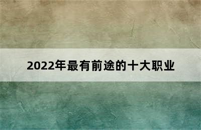 2022年最有前途的十大职业