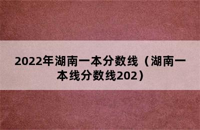 2022年湖南一本分数线（湖南一本线分数线202）