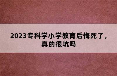 2023专科学小学教育后悔死了，真的很坑吗