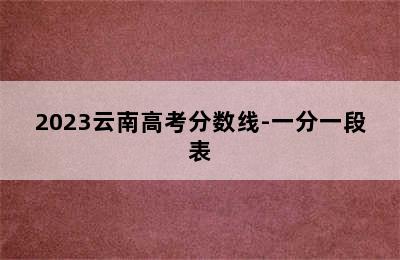 2023云南高考分数线-一分一段表