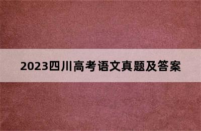 2023四川高考语文真题及答案