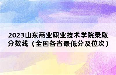 2023山东商业职业技术学院录取分数线（全国各省最低分及位次）