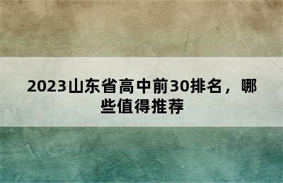 2023山东省高中前30排名，哪些值得推荐