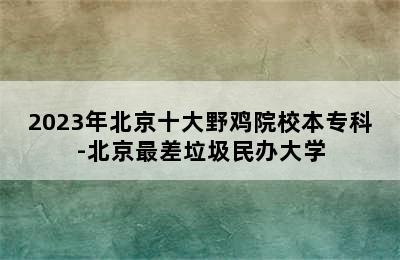 2023年北京十大野鸡院校本专科-北京最差垃圾民办大学