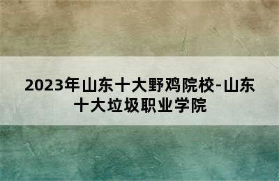 2023年山东十大野鸡院校-山东十大垃圾职业学院