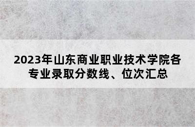 2023年山东商业职业技术学院各专业录取分数线、位次汇总