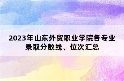 2023年山东外贸职业学院各专业录取分数线、位次汇总