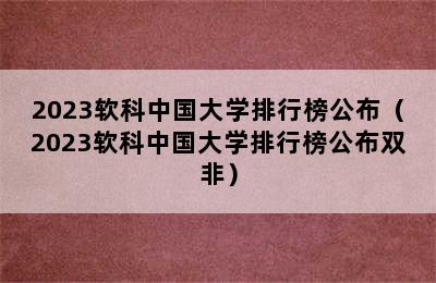 2023软科中国大学排行榜公布（2023软科中国大学排行榜公布双非）