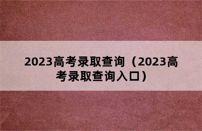 2023高考录取查询（2023高考录取查询入口）