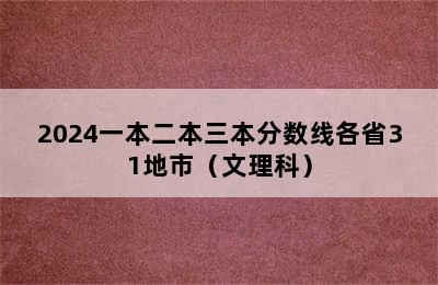 2024一本二本三本分数线各省31地市（文理科）