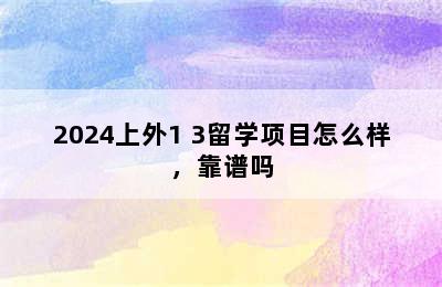 2024上外1+3留学项目怎么样，靠谱吗