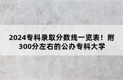 2024专科录取分数线一览表！附300分左右的公办专科大学