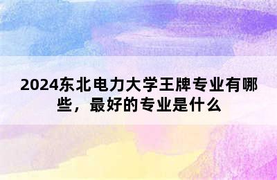 2024东北电力大学王牌专业有哪些，最好的专业是什么