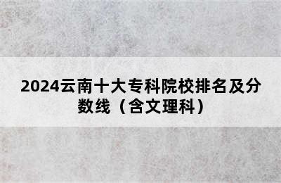 2024云南十大专科院校排名及分数线（含文理科）