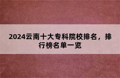 2024云南十大专科院校排名，排行榜名单一览