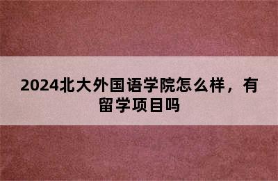 2024北大外国语学院怎么样，有留学项目吗