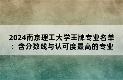 2024南京理工大学王牌专业名单：含分数线与认可度最高的专业