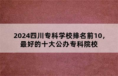 2024四川专科学校排名前10，最好的十大公办专科院校