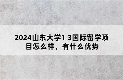 2024山东大学1+3国际留学项目怎么样，有什么优势