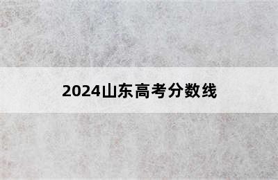 2024山东高考分数线