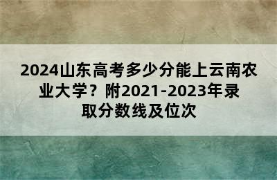 2024山东高考多少分能上云南农业大学？附2021-2023年录取分数线及位次