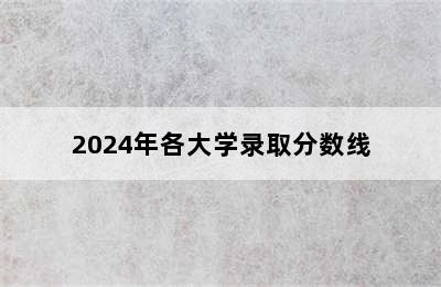 2024年各大学录取分数线