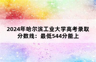 2024年哈尔滨工业大学高考录取分数线：最低544分能上