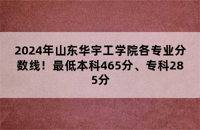 2024年山东华宇工学院各专业分数线！最低本科465分、专科285分