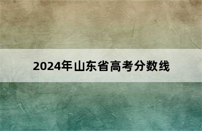 2024年山东省高考分数线