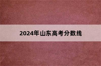 2024年山东高考分数线