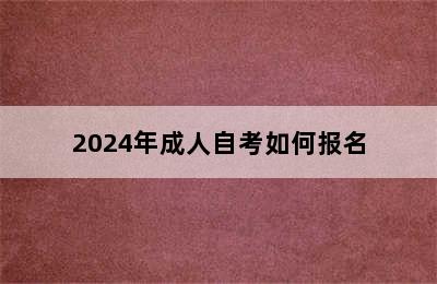 2024年成人自考如何报名