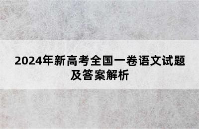 2024年新高考全国一卷语文试题及答案解析