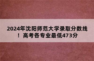 2024年沈阳师范大学录取分数线！高考各专业最低473分
