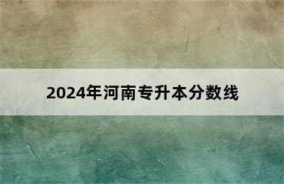 2024年河南专升本分数线