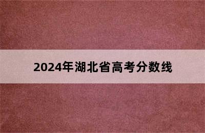 2024年湖北省高考分数线