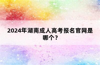 2024年湖南成人高考报名官网是哪个？