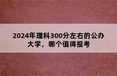 2024年理科300分左右的公办大学，哪个值得报考