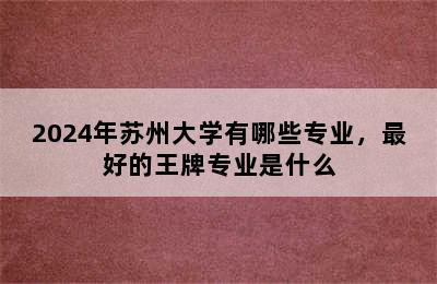 2024年苏州大学有哪些专业，最好的王牌专业是什么