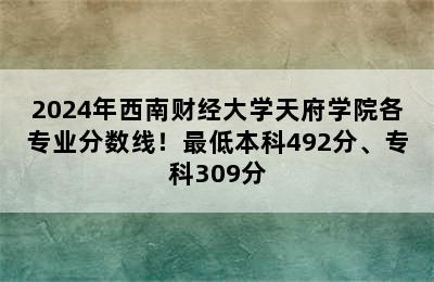 2024年西南财经大学天府学院各专业分数线！最低本科492分、专科309分