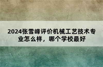 2024张雪峰评价机械工艺技术专业怎么样，哪个学校最好