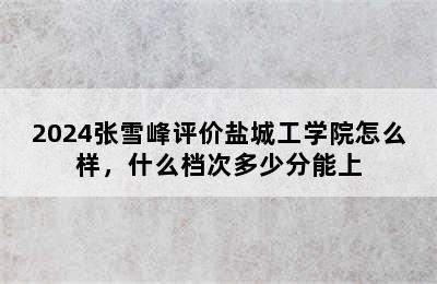 2024张雪峰评价盐城工学院怎么样，什么档次多少分能上