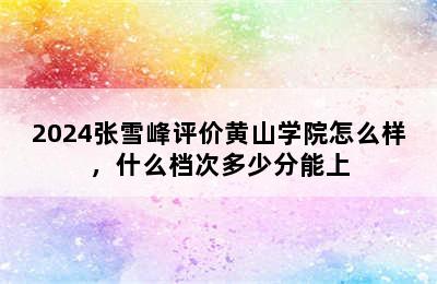 2024张雪峰评价黄山学院怎么样，什么档次多少分能上