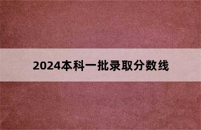 2024本科一批录取分数线